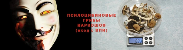 амф Приозерск