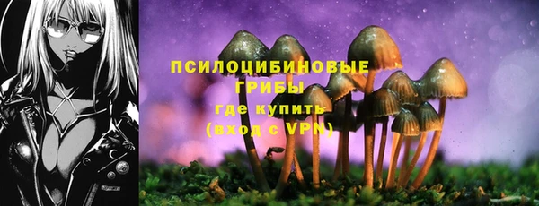 амф Приозерск